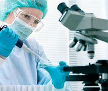 research fellow